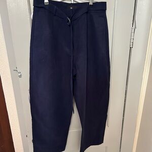 Banana Republic Navy Blue Trousers